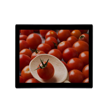 19&quot; moniteur industriel VGA DVI d'écran tactile a entré le moniteur imperméable d'affichage à cristaux liquides de kiosques